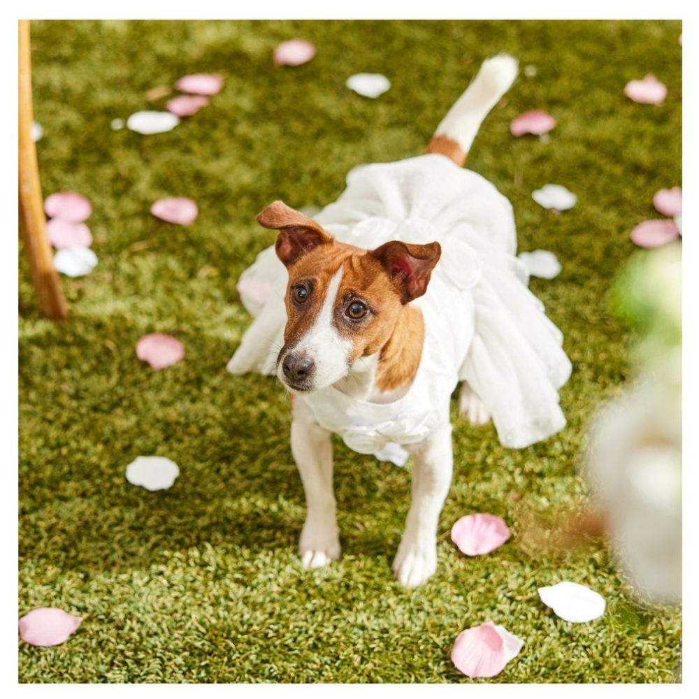 Dog Or Cat Wedding Dress Size S